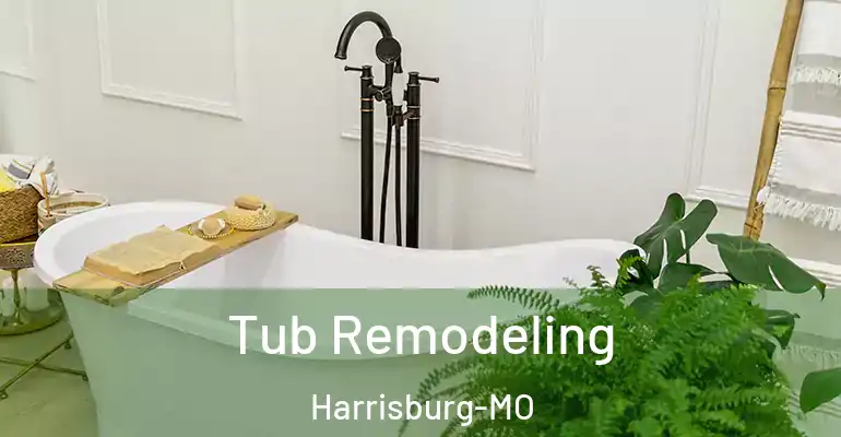 inner Bathroom imggen Tub Remodeling Harrisburg-MO