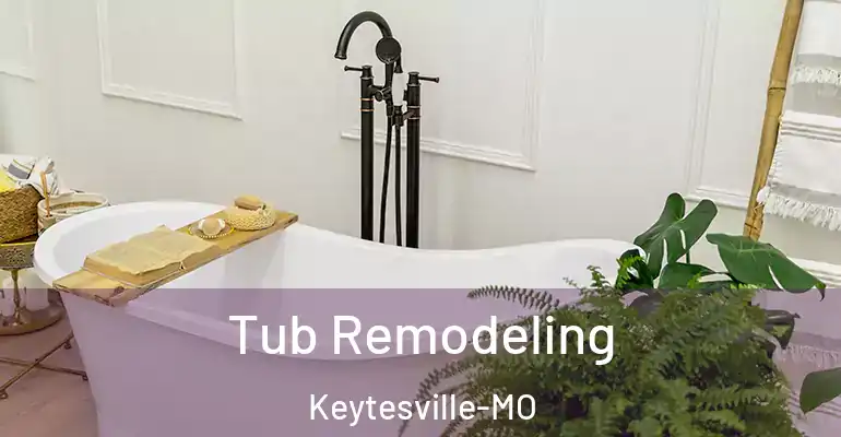 inner Bathroom imggen Tub Remodeling Keytesville-MO