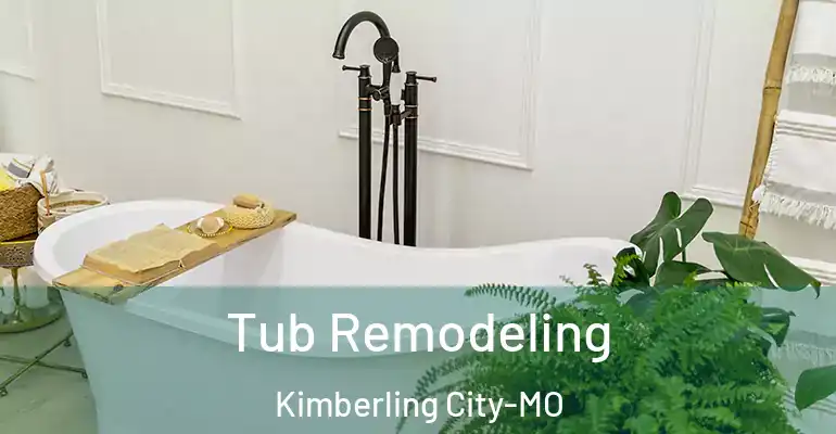 inner Bathroom imggen Tub Remodeling Kimberling City-MO