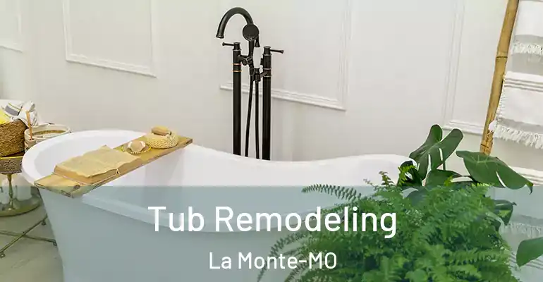 inner Bathroom imggen Tub Remodeling La Monte-MO
