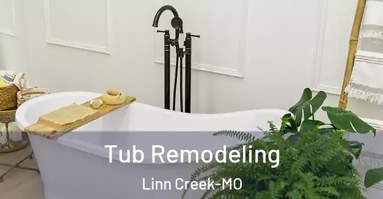 inner Bathroom imggen Tub Remodeling Linn Creek-MO