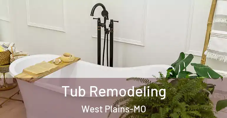 inner Bathroom imggen Tub Remodeling West Plains-MO