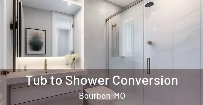 inner Bathroom imggen Tub to Shower Conversion Bourbon-MO