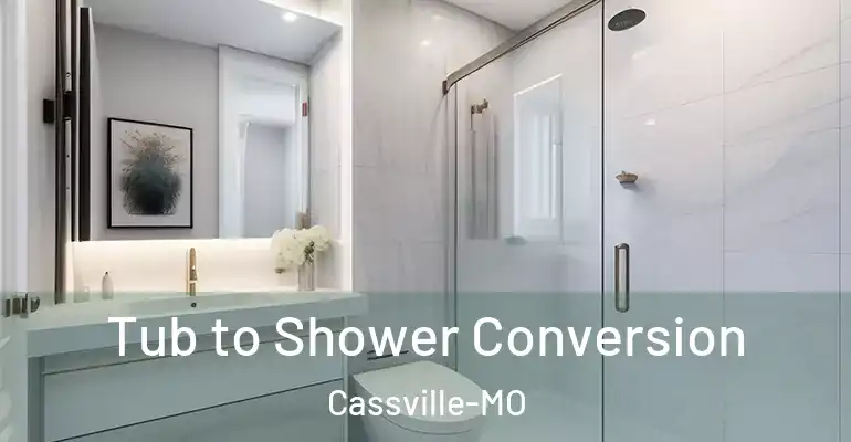 inner Bathroom imggen Tub to Shower Conversion Cassville-MO