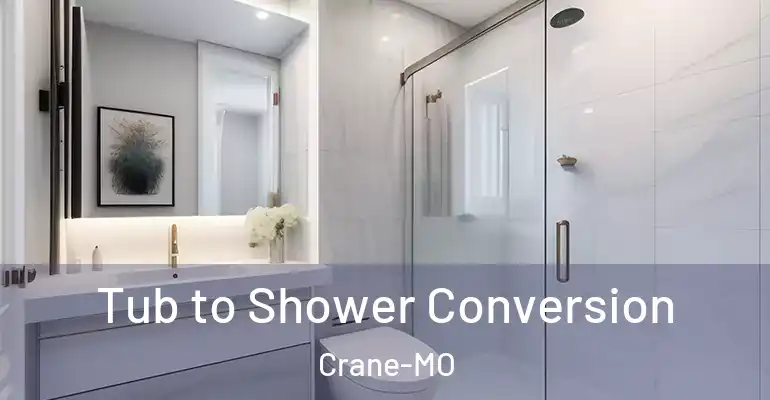 inner Bathroom imggen Tub to Shower Conversion Crane-MO