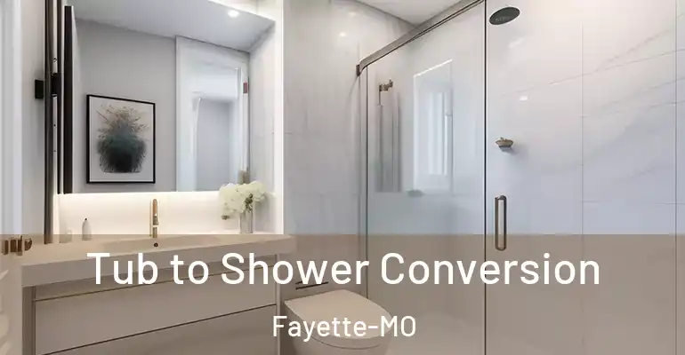 inner Bathroom imggen Tub to Shower Conversion Fayette-MO