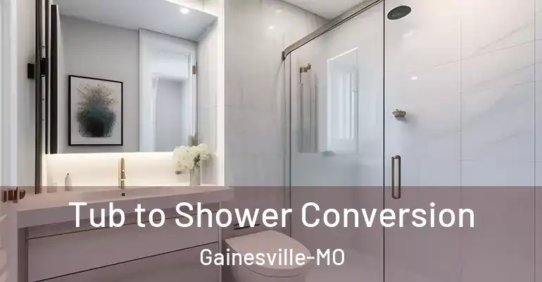 inner Bathroom imggen Tub to Shower Conversion Gainesville-MO