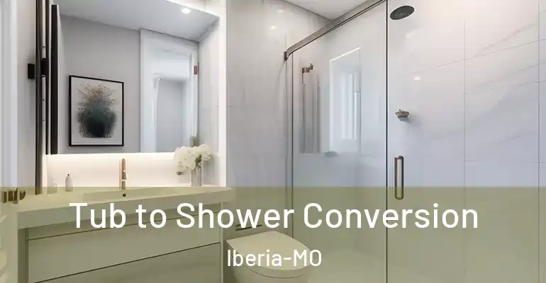 inner Bathroom imggen Tub to Shower Conversion Iberia-MO