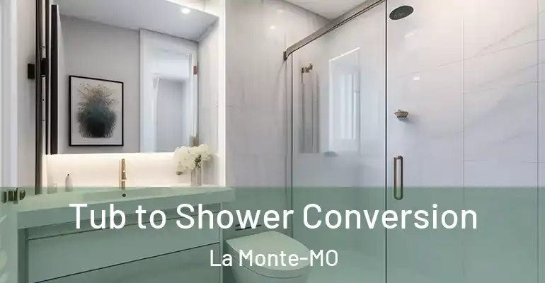 inner Bathroom imggen Tub to Shower Conversion La Monte-MO