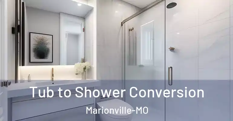 inner Bathroom imggen Tub to Shower Conversion Marionville-MO