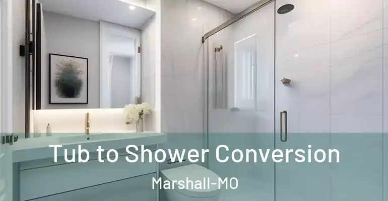 inner Bathroom imggen Tub to Shower Conversion Marshall-MO