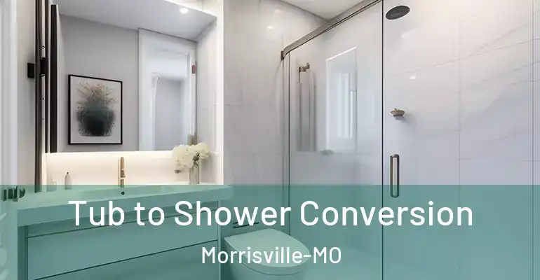 inner Bathroom imggen Tub to Shower Conversion Morrisville-MO