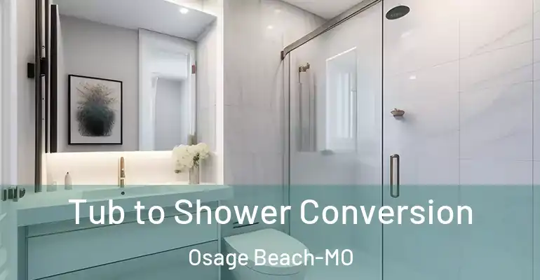 inner Bathroom imggen Tub to Shower Conversion Osage Beach-MO