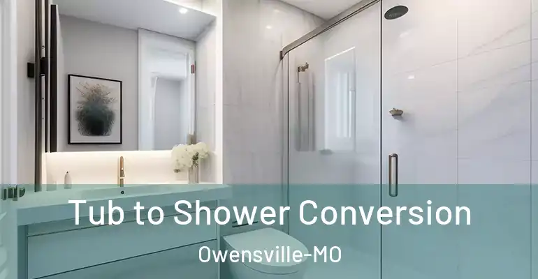 inner Bathroom imggen Tub to Shower Conversion Owensville-MO