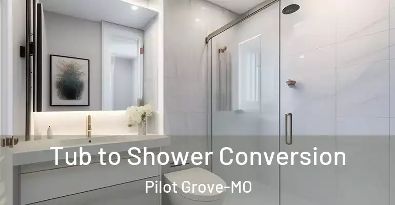 inner Bathroom imggen Tub to Shower Conversion Pilot Grove-MO