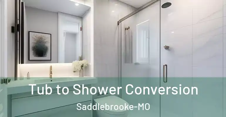 inner Bathroom imggen Tub to Shower Conversion Saddlebrooke-MO