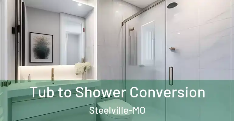 inner Bathroom imggen Tub to Shower Conversion Steelville-MO