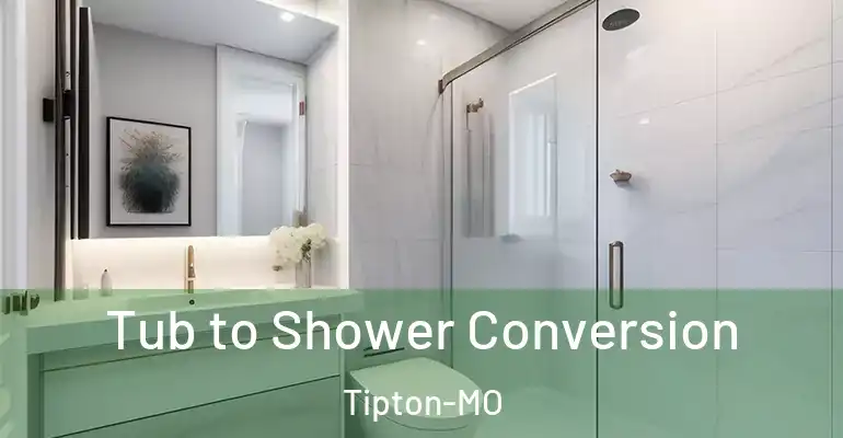 inner Bathroom imggen Tub to Shower Conversion Tipton-MO