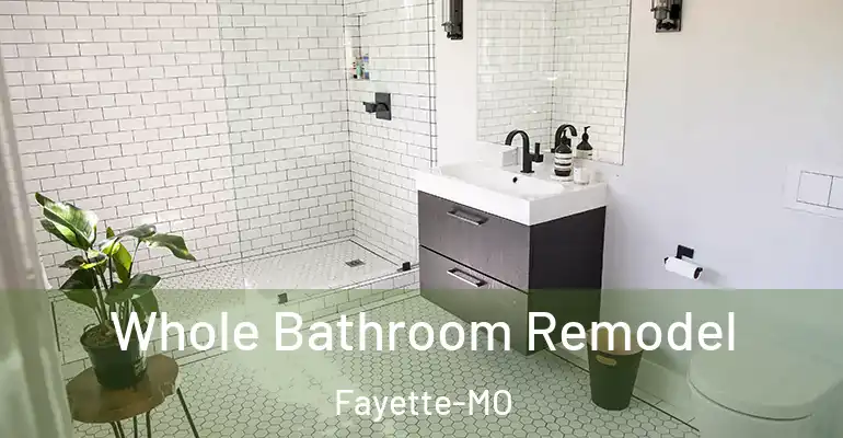 inner Bathroom imggen Whole Bathroom Remodel Fayette-MO