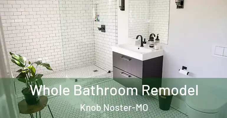 inner Bathroom imggen Whole Bathroom Remodel Knob Noster-MO