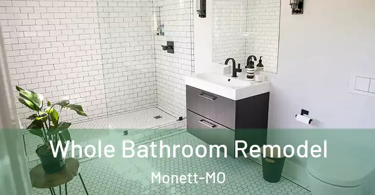 inner Bathroom imggen Whole Bathroom Remodel Monett-MO