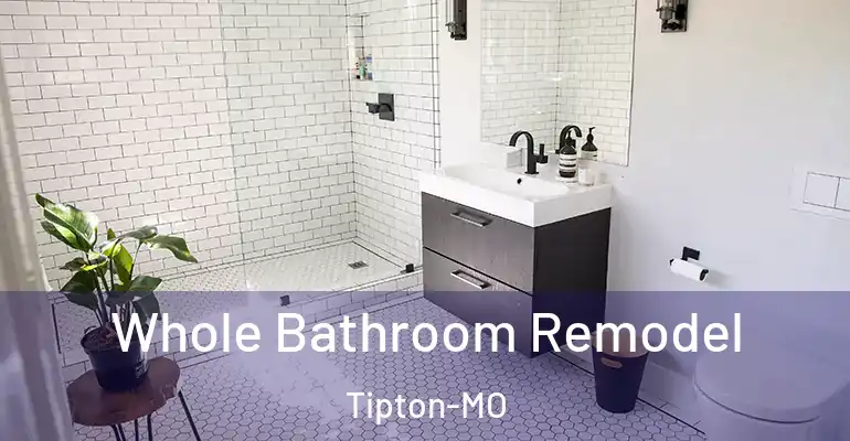 inner Bathroom imggen Whole Bathroom Remodel Tipton-MO