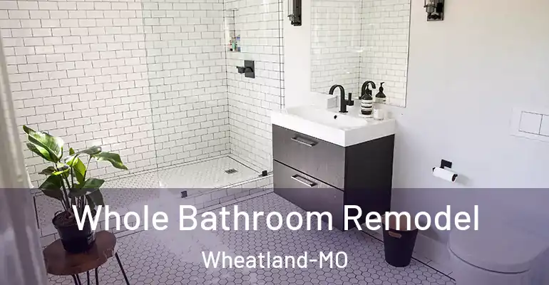 inner Bathroom imggen Whole Bathroom Remodel Wheatland-MO